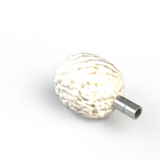 ALL_catalog_25J23_8ZhvsbFyTE